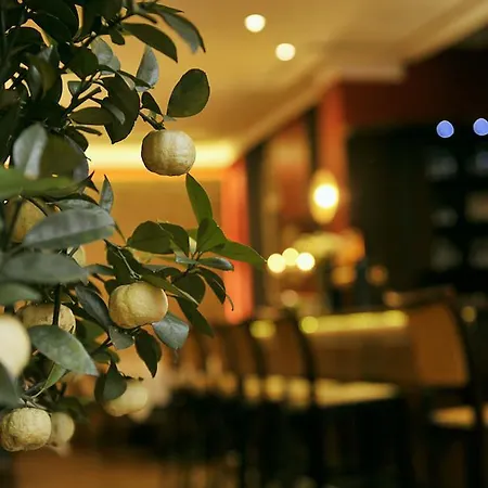 Altstadthotel Am Theater Otel Cottbus