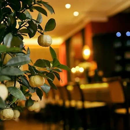 Altstadthotel Am Theater Hotel Cottbus