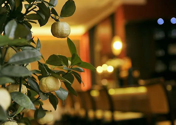 Altstadthotel Am Theater 호텔 콧부스